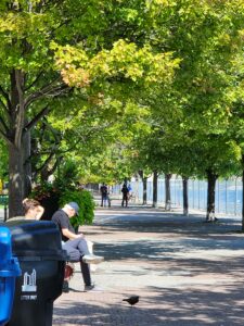 1000000921 Sugar Beach | Made in the six | Toronto tourism
